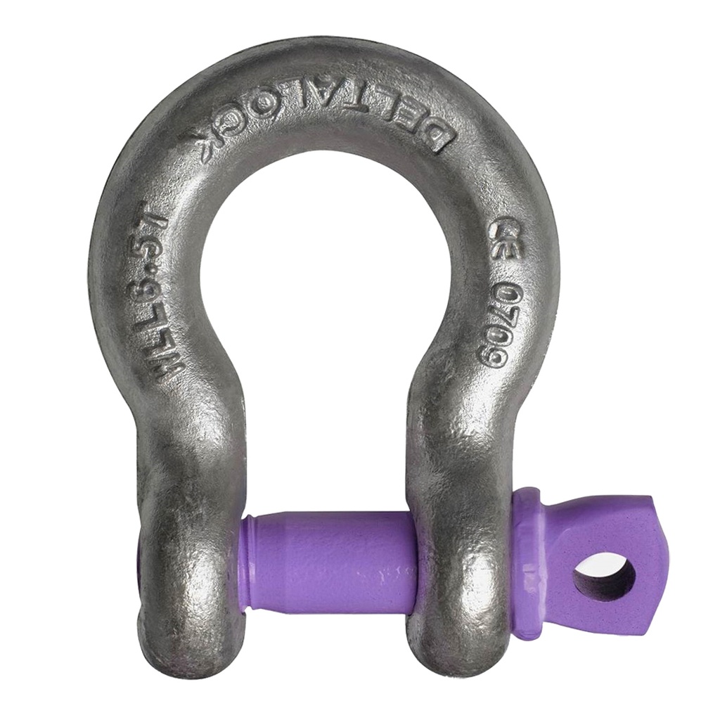 Schäkel geschweift mit Schraubbolzen