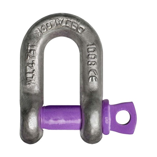 Schäkel gerade mit Schraubbolzen