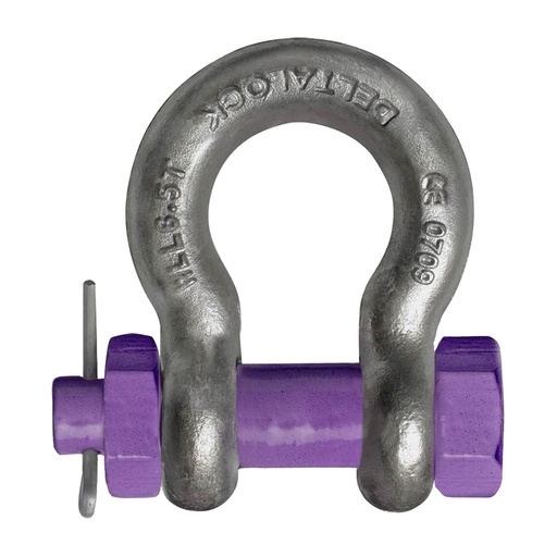 Schäkel geschweift mit Mutter und Splint